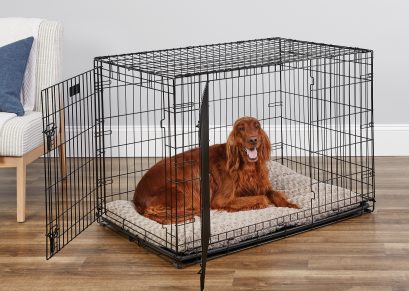 MidWest-Homes-For-Pets-Double-Door-iCrate-Metal-Dog-Crate-42_aa6035bf-f615-4a6d-973f-455354674dbf.0630a007b7757ca67c89cc1aca654612.jpeg